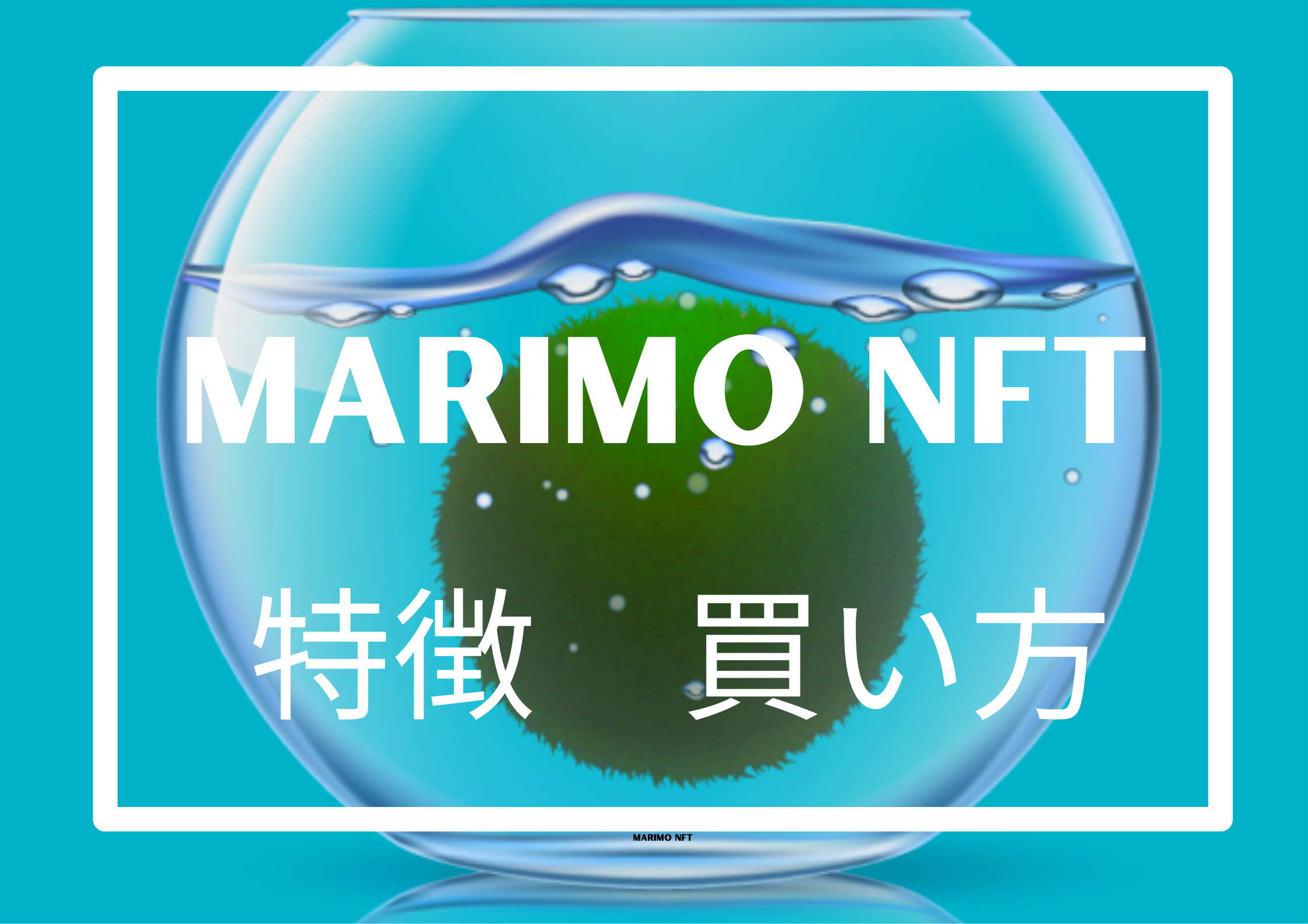 Marimo マリモ Nftとは 特徴や買い方 水替えまで徹底解説 Web3研究所